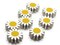 8 21mm White Daisy Flower with Yellow Center Flat Floral Wood Beads